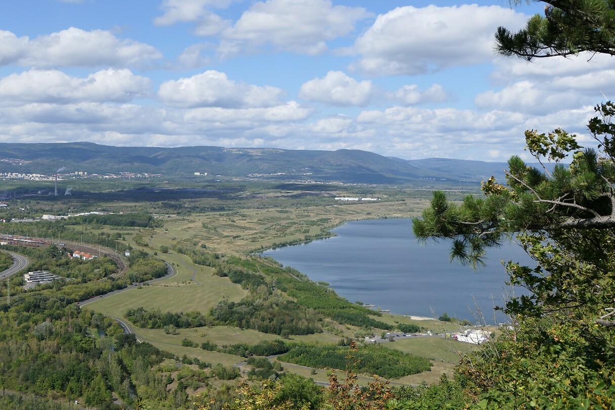 P1050922