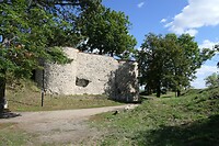 P1050923