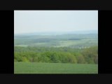 MVI_1328