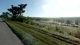 SAM_0939