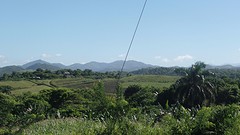 SAM_0933