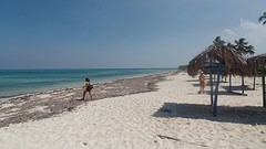 SAM_0946