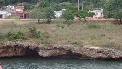 SAM_0973