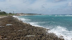 SAM_1009