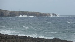 SAM_1019
