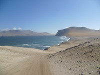 P1100002