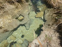 P1100151