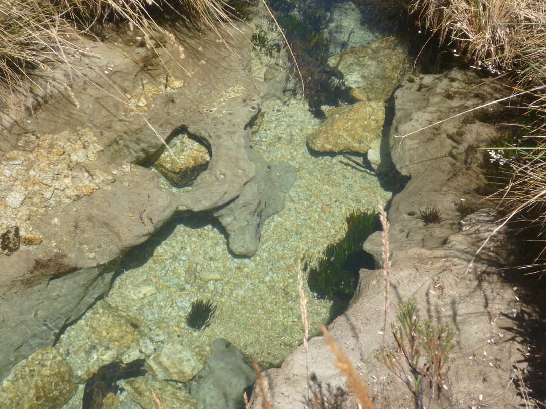 P1100151