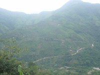 P1100223