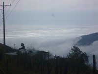 P1100253