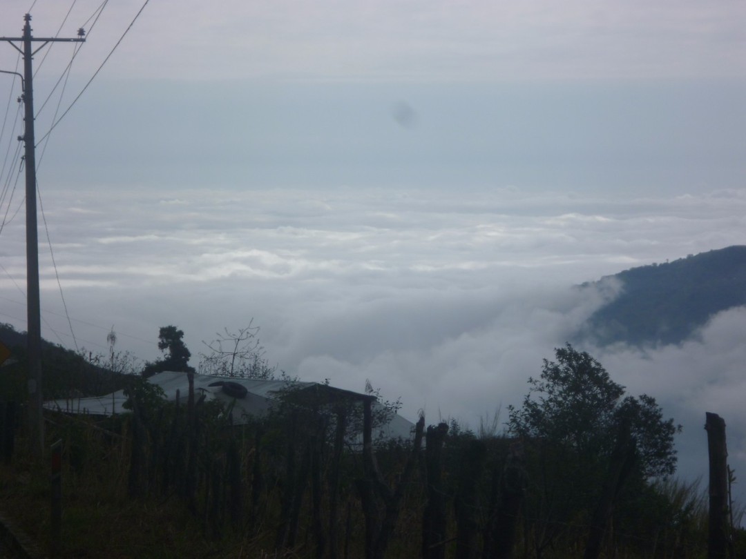 P1100253