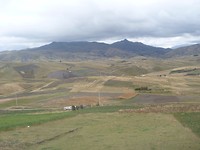P1100333