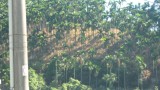 IMG_1040
