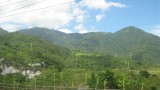 IMG_1059