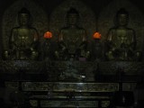 IMG_1121