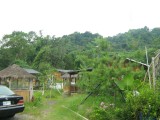 IMG_1200