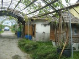 IMG_1201