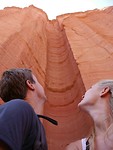 IMG_20171022_233422_resized_20171022_113557438