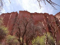 1090571_resized_20171023_121200975