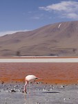 IMG_20171104_063739