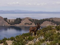 IMG_20171120_123907_110
