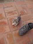 IMG_20171119_195540