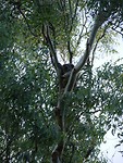 IMG_20180110_184827