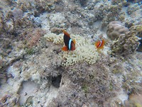 IMG-20180219-WA0013
