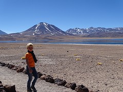 bij een lagune in de buurt van San Pedro de Atacama