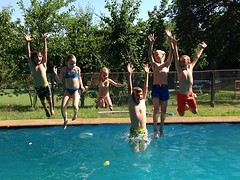 zwemmen met onze vrienden Carter en Bo