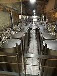 IMG_1419