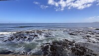 IMG_1646