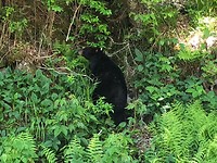 IMG-20190603-WA0000