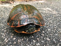 IMG-20190606-WA0000