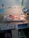 Neonatologie