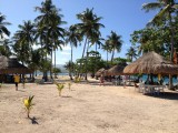 Cowrie Island