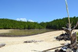 De Mangrove