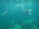Snorkelen