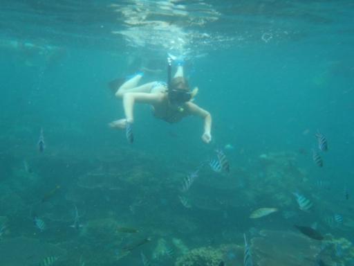 Snorkelen