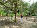 Blowpipe-koningin