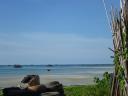Pulau Bintan