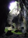 Gomantong grotten