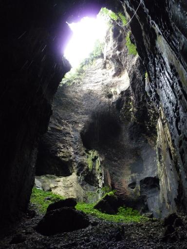 Gomantong grotten