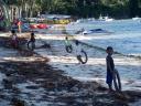 Bulabog