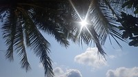 20180221_150229