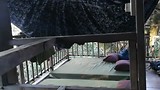 VID_20171130_160503