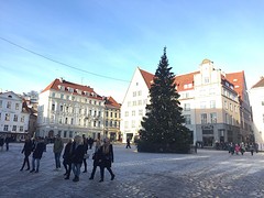 Tallinn