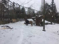 Zoo