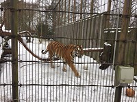 Zoo