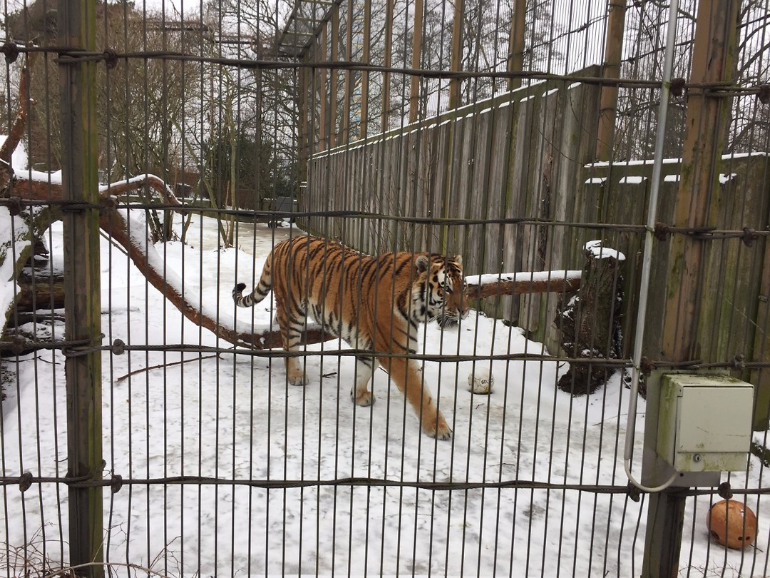 Zoo